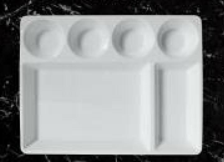 Servewell Dinnerware Partition Plates  6 Parts Plate