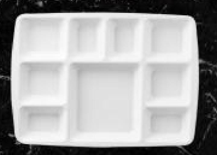 Servewell Dinnerware Partition Plate 9 Parts Plate