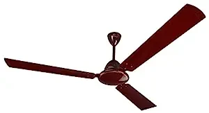 Bajaj Ultima 900 mm Brown CF (250628)