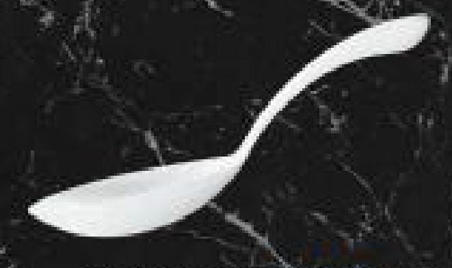 Servewell Add - Ons Serving Spoons  Symphony