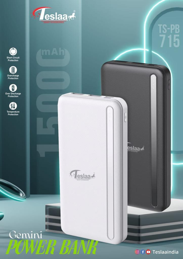 Teslaa Gemini Power Bank