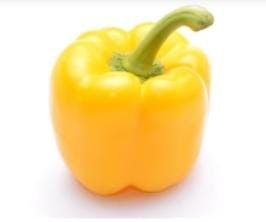 Creative Farmer Vegetablarde Seeds Terrace Gen Capsicum Yellow Wonder Veg Seeds For Home Garden 100 Seeds Kitchen Garden Seeds Pack