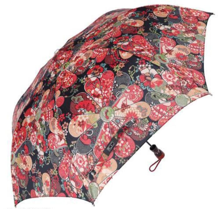 Gita 2 Fold Designer Umbrella for men women