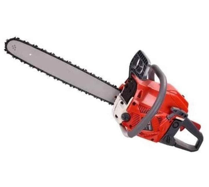 Agriplus 22 inch 62CC petrol chain saw