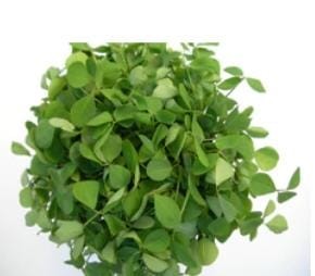 Organic Soul - Whole Methi Dana (Fenugreek 500  Seeds)