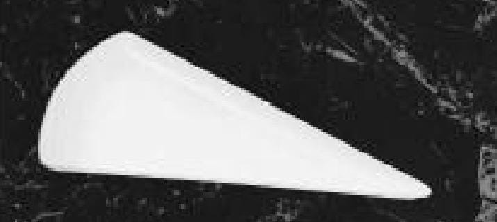 Servwell Tableware Add - Ons Soup Liners Pizza Plate Pack Of 2