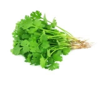 Coriander Seeds for Kitchen Gardening, (200 seeds)