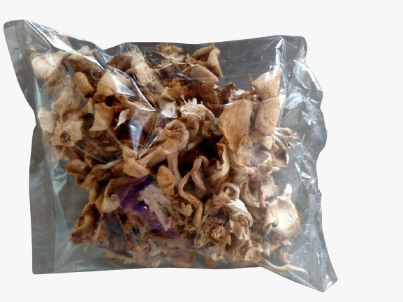 DRY MUSHROOM