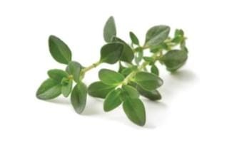 Thyme Seeds(0.5 g)