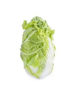 Chinese Cabbage F1 Hybrid Vegetable Seeds Multi-Qty Packs (400 Seeds)