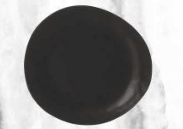 Servewell Matte Dinnerware  Dot Plates Pack Of 2