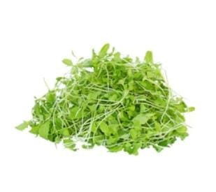 Green Mustard Microgreen  Seed  (100- Gram)
