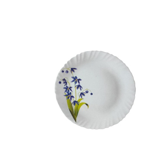 Larah Opalglass by BOROSIL Full Plate